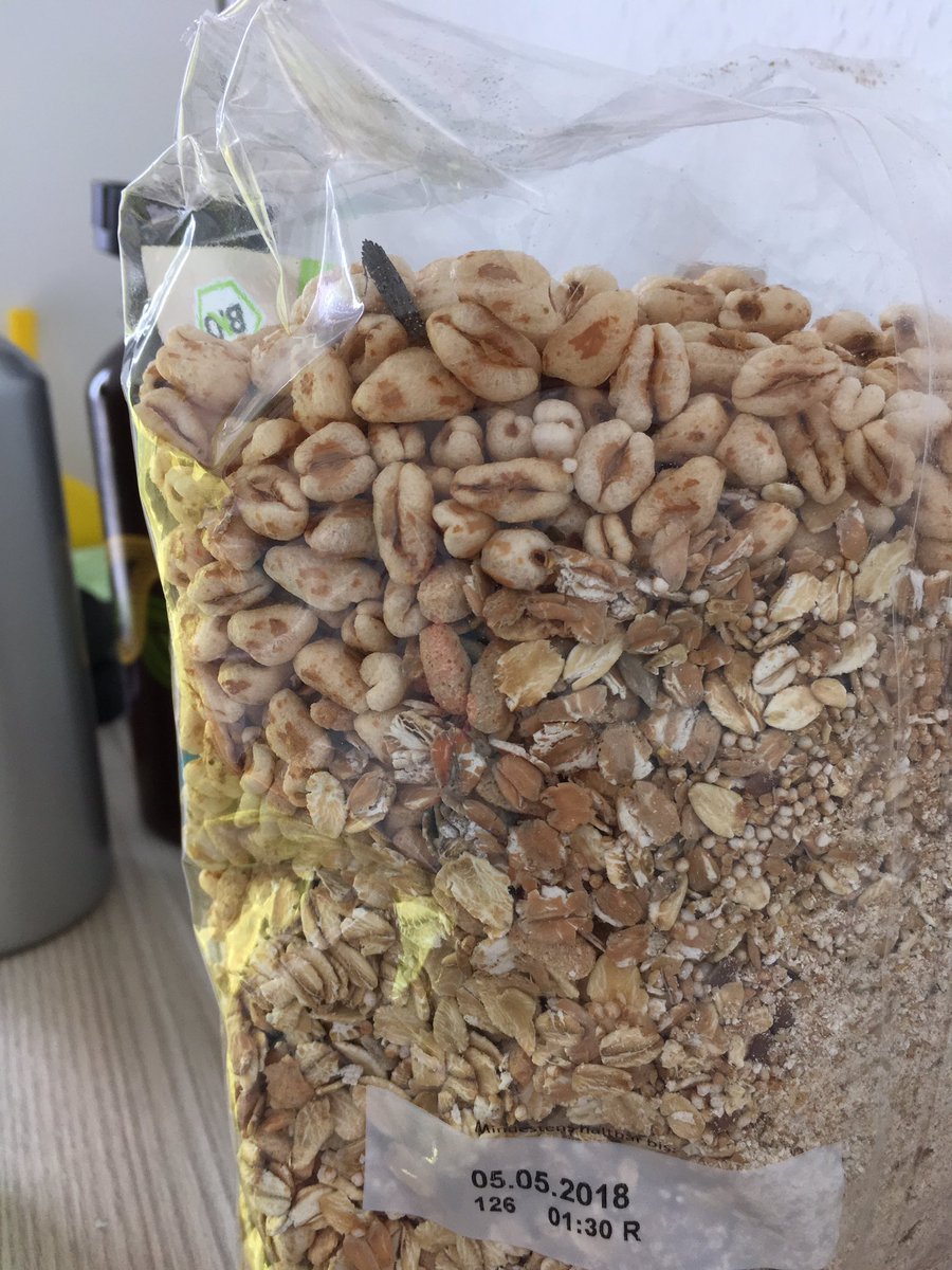 ChristinHorrm's tweet photo. Toll, aus einer verschlossenen Müslitüte guckt eine Motte mich an und bei Aldi ist es nicht möglich, dass Kontaktformular zu senden. https://t.co/11yXsKAvh7