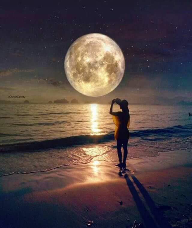 NiteClubLife tweet media