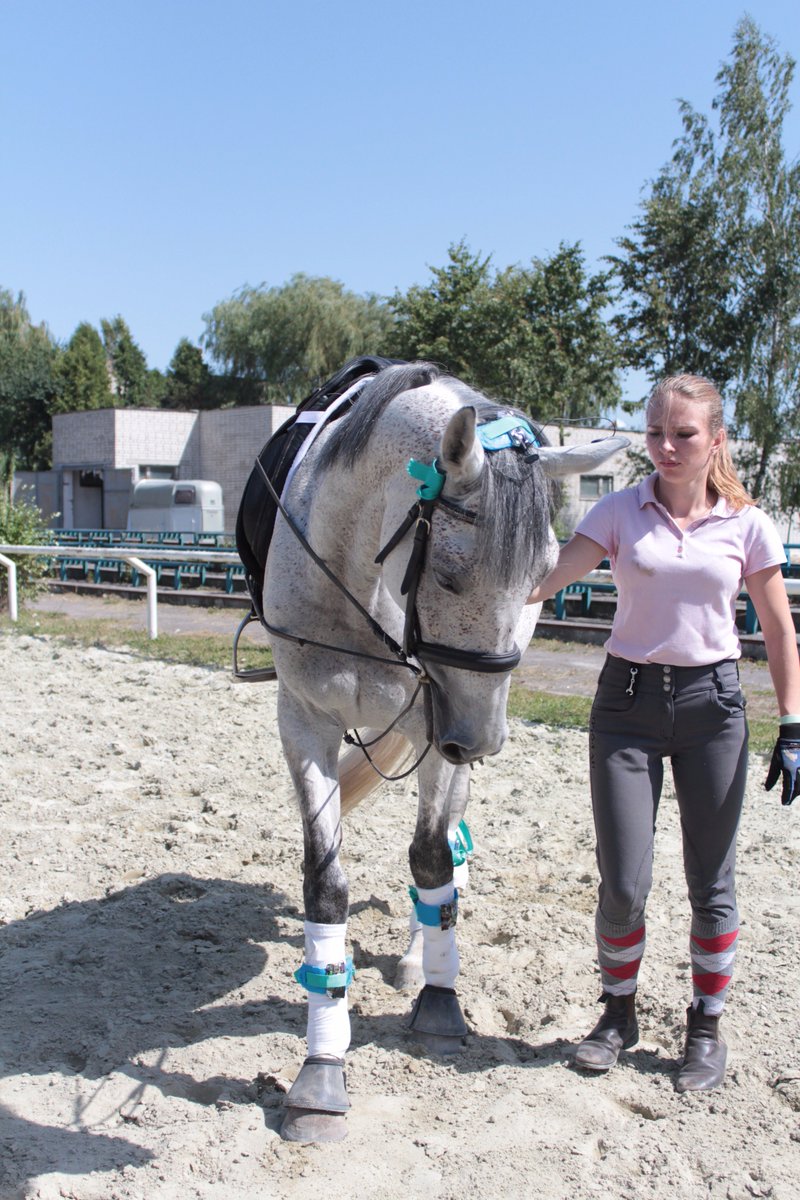 First #hardware prototypes for <a href="/Horse_Analytics/">HorseAnalytics</a> are ready. We are happy with the initial feedback and there is more work ahead of us. #IoT