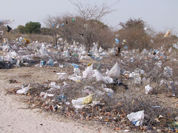 JustineBraby's tweet photo. #ProgressNamibia Weekly is out: #Plastic bags. Let's stop. https://t.co/TT3fHgJTcr https://t.co/41Hc7KNOw1