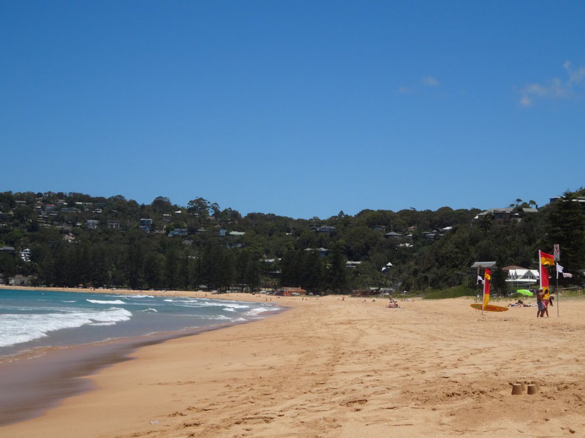 GoToStudyOS's tweet image. #StudyAbroad and discover amazing places! Today's amazing place is Palm Beach close to #Sydney #Australia #TTOT #travel #study #explore