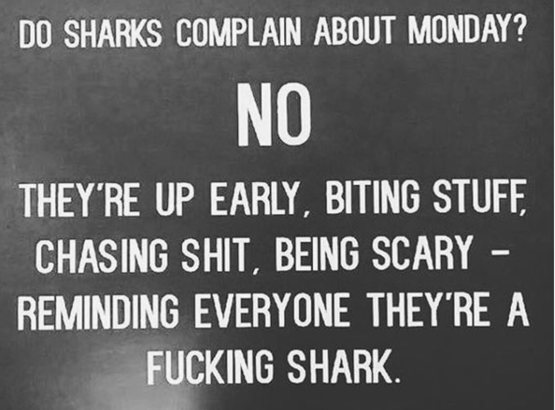 Excuse the naughty language! #MondayMotivation #GettingStuffDone