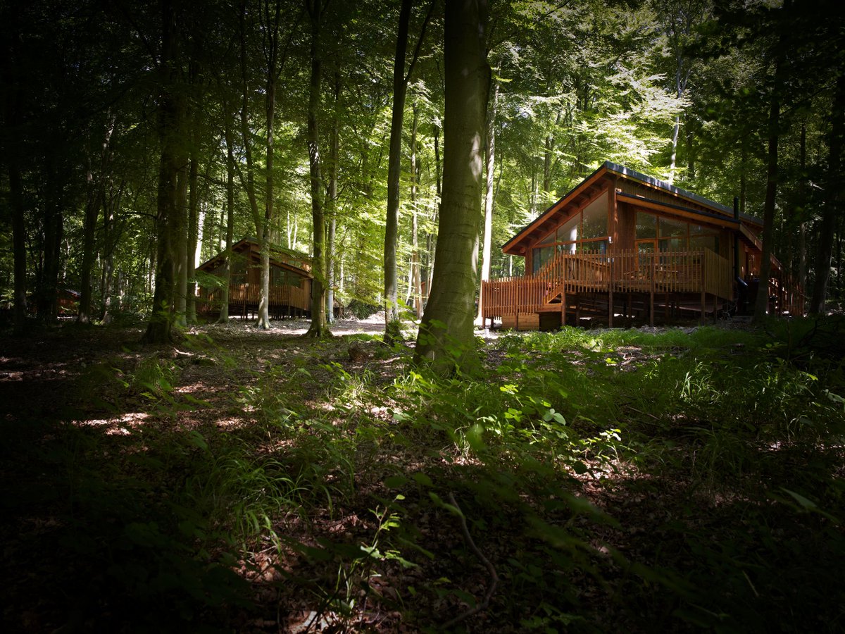 forestholidays's tweet image. The most romantic Forest Holiday cabin... The #GoldenOak Hideaway! 💞 forestholidays.co.uk/choose-a-cabin…