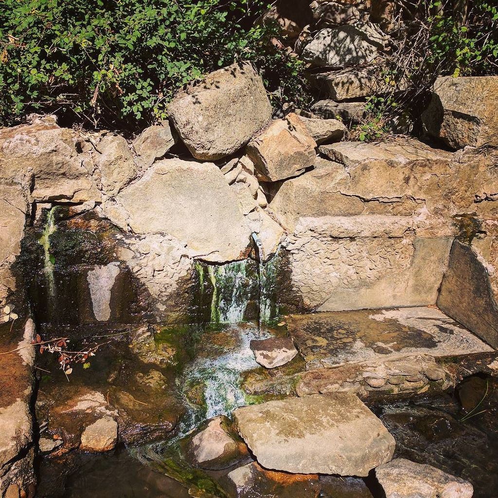 fonamental's tweet photo. sulfur spring in #Ponferrada, check at the sulfur oxidizing# bacteria coloring white the spring #microeco https://t.co/ExU07XGDM2 https://t.co/0onHvd0ddJ