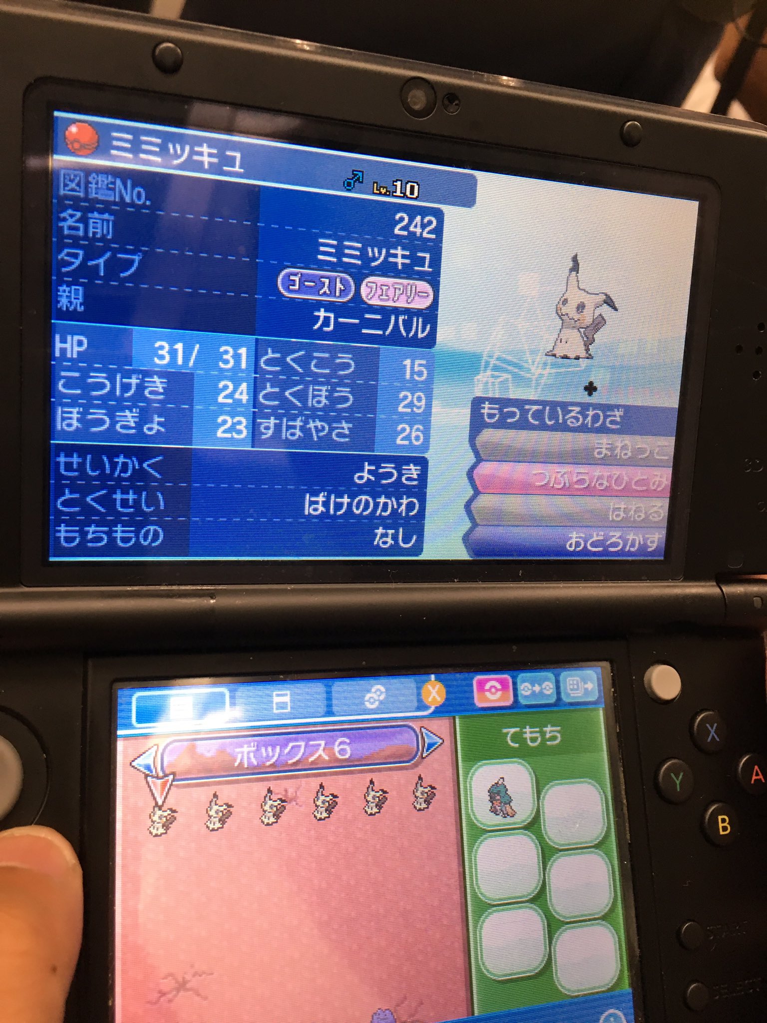 تويتر ほのか 交換用 على تويتر 弟のを横から 赤玉メタモン ミミッキュですねー メタモンなぜかでんきだま持ってる様子 ミミッキュはオスメスいました ピカチュウカーニバルパレード ピカチュウ大行進 T Co U3s3vrld63