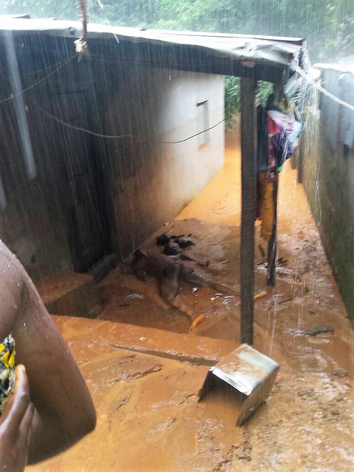 Voir l'image sur Twitter Voir l'image sur Twitter