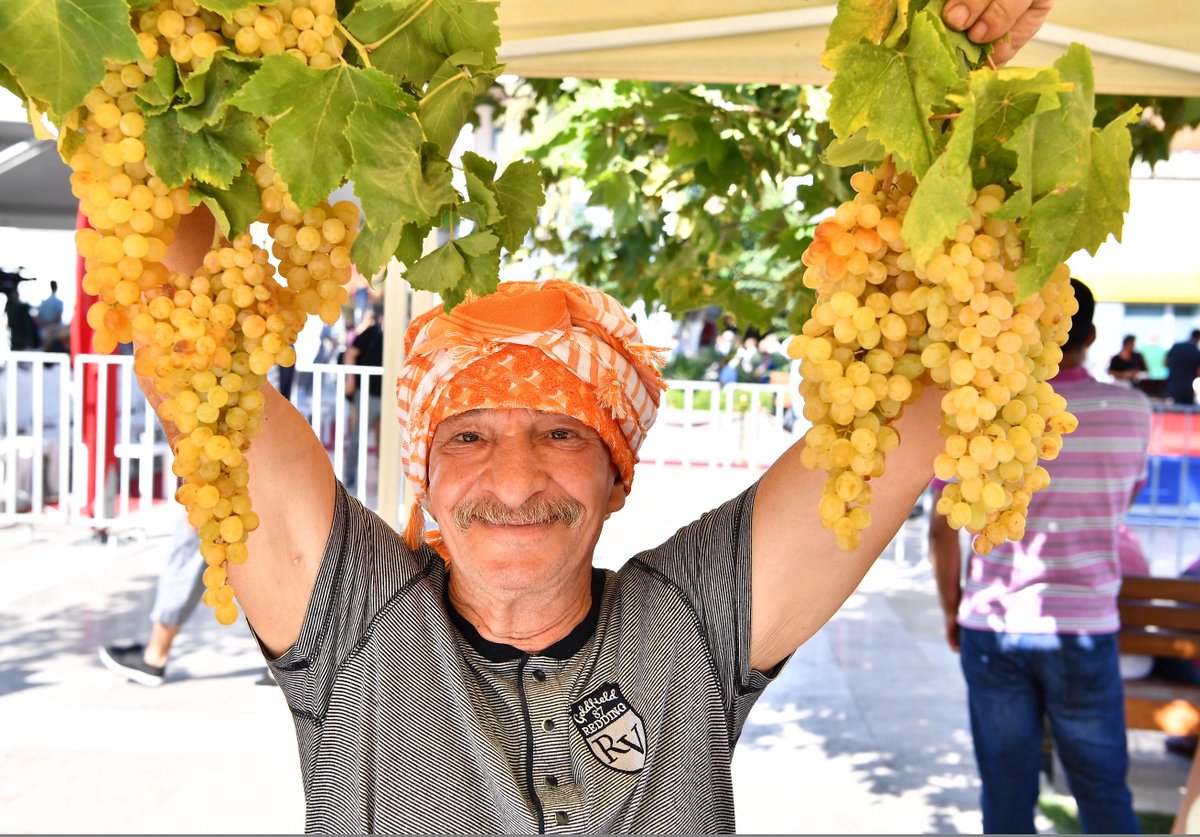 İzmir Büyükşehir Belediyesi tweet media