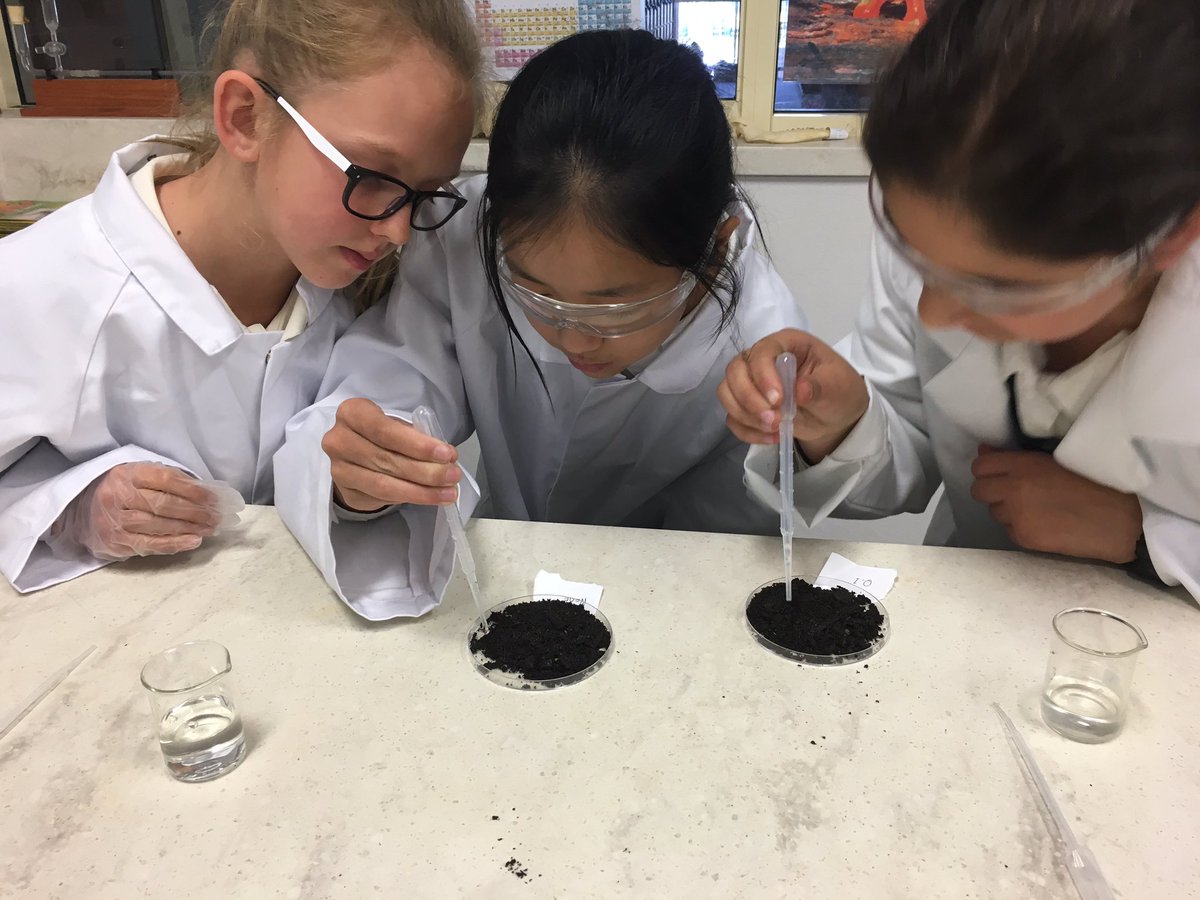 Year 6 investigating biodegradability <a href="/SSCommunicate/">Santa Sabina College</a>
