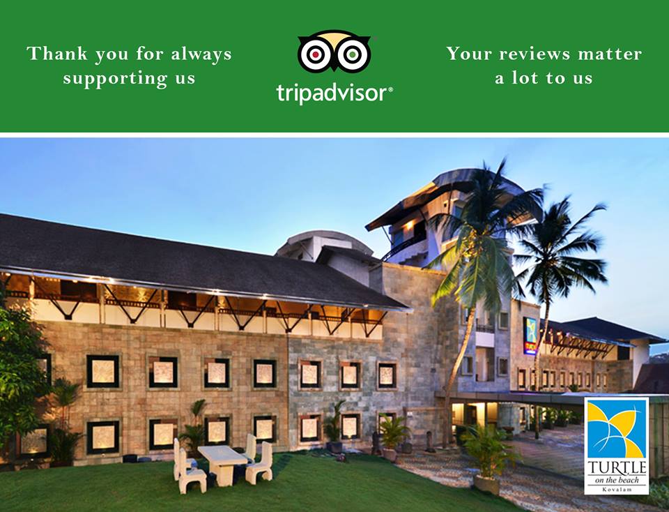 turtleonbeach_'s tweet photo. Your review always matters to us, do share your experience on TripAdvisor #Hotel #Turtleonthebeach #Kerala #Kovalam #No1ontripadvisor https://t.co/kTOTaumNcO