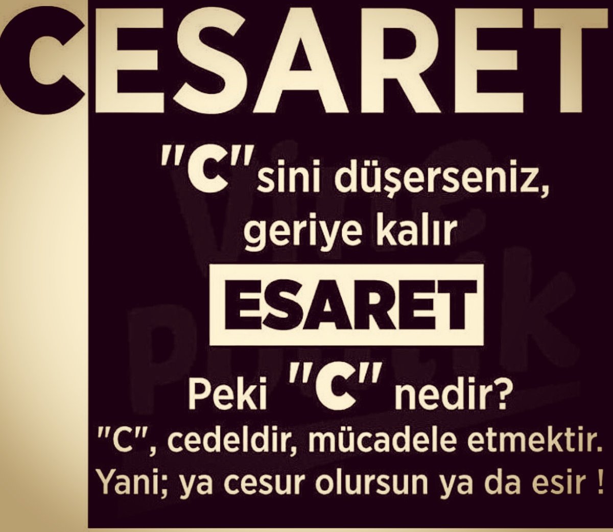 Cesur kararlar alacağınız,esir olmayacaginiz bihafta dilerim #cesaret #cesurol #esirolma #guzelbirhaftaolsun #sağlıklıyaşam #kisiselgelisim
