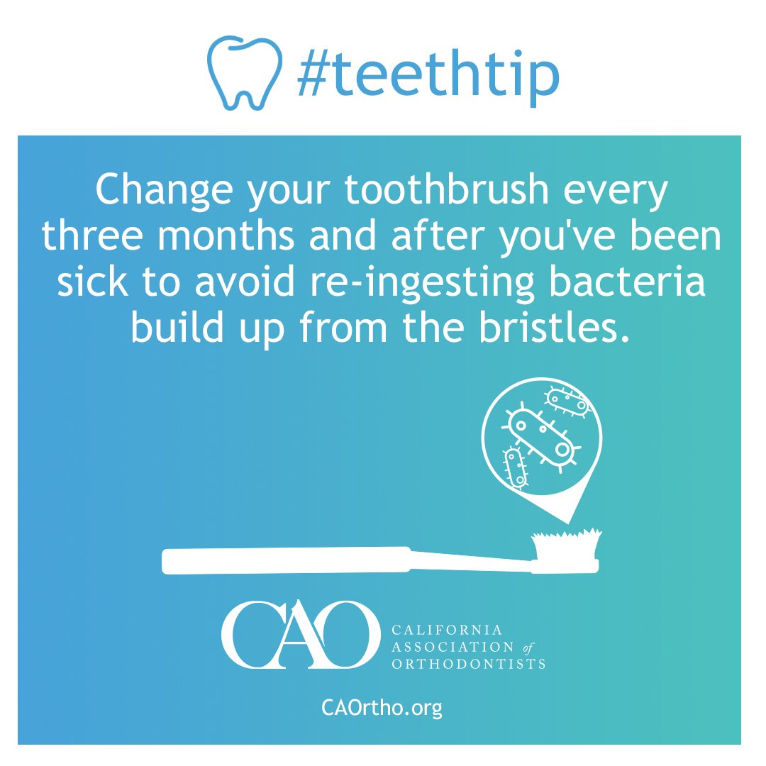 Flu virus, staph bacteria, E. coli, yeast fungus and strep virus have all been found hanging out on used toothbrushes #teethtip #toothtip