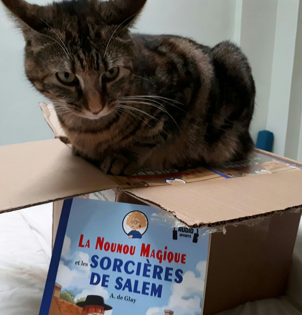 Chattycatbooks's tweet photo. Les 1ers tomes de la série #NounouMagique sont en librairie le 25 août!! En attendant, #Chattykitty est contente d'avoir un nouveau lit 😹 https://t.co/M6tUqP6qYm