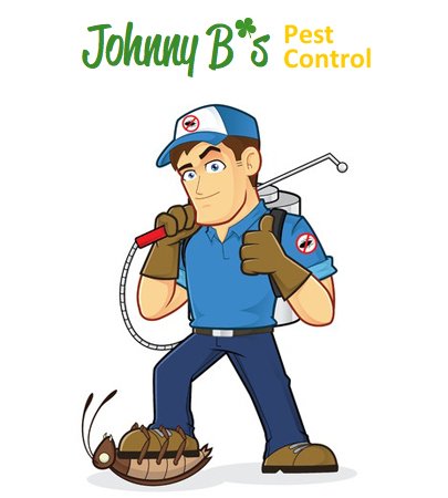 JohnnyBpestMa's tweet photo. Experts Have Bred The World’s Largest Insect read more at https://t.co/MG8vSvtDHV Call Johnny B's Pest Now! #boston #pestcontrol #mapest https://t.co/6gvDWEy8QD