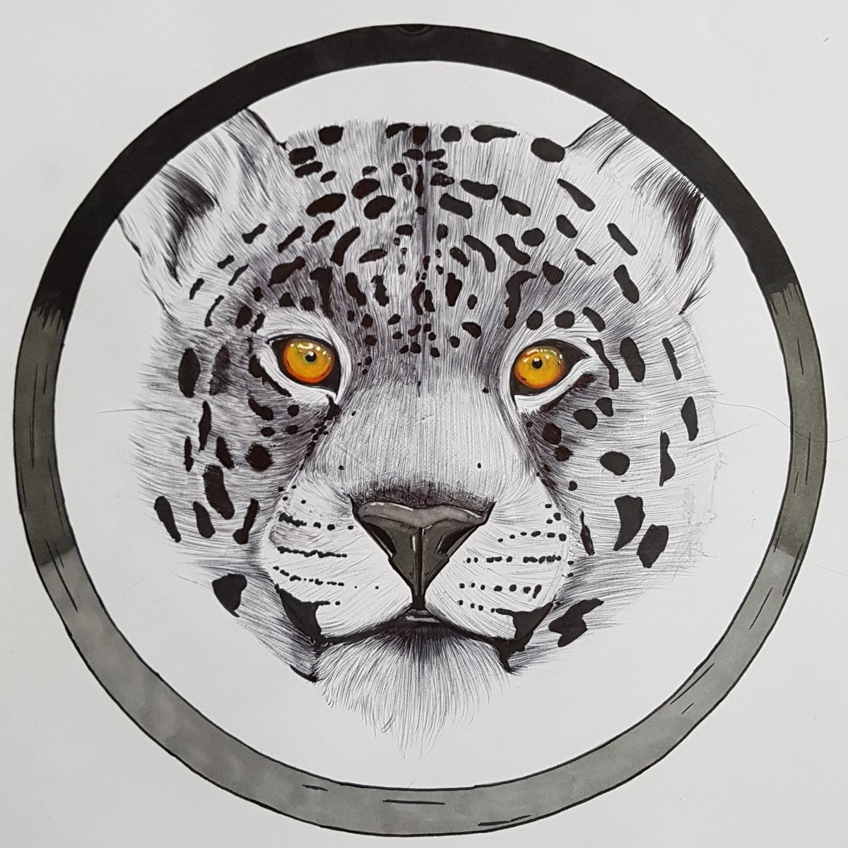 Bod_Machine's tweet photo. #Biro x #Promarker #LineWork #BodMachine https://t.co/nIs3bTIhYr