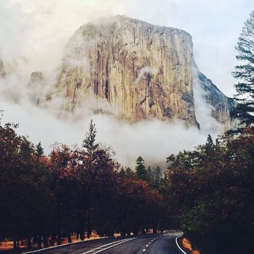 ourplanetall's tweet photo. The Way to El Capitan ~ WELCOME EVERYBODY ~ #california #usa #travel #trip #tour #nature #e… https://t.co/jyvL5BD5CK https://t.co/ZsNjHvnoMY