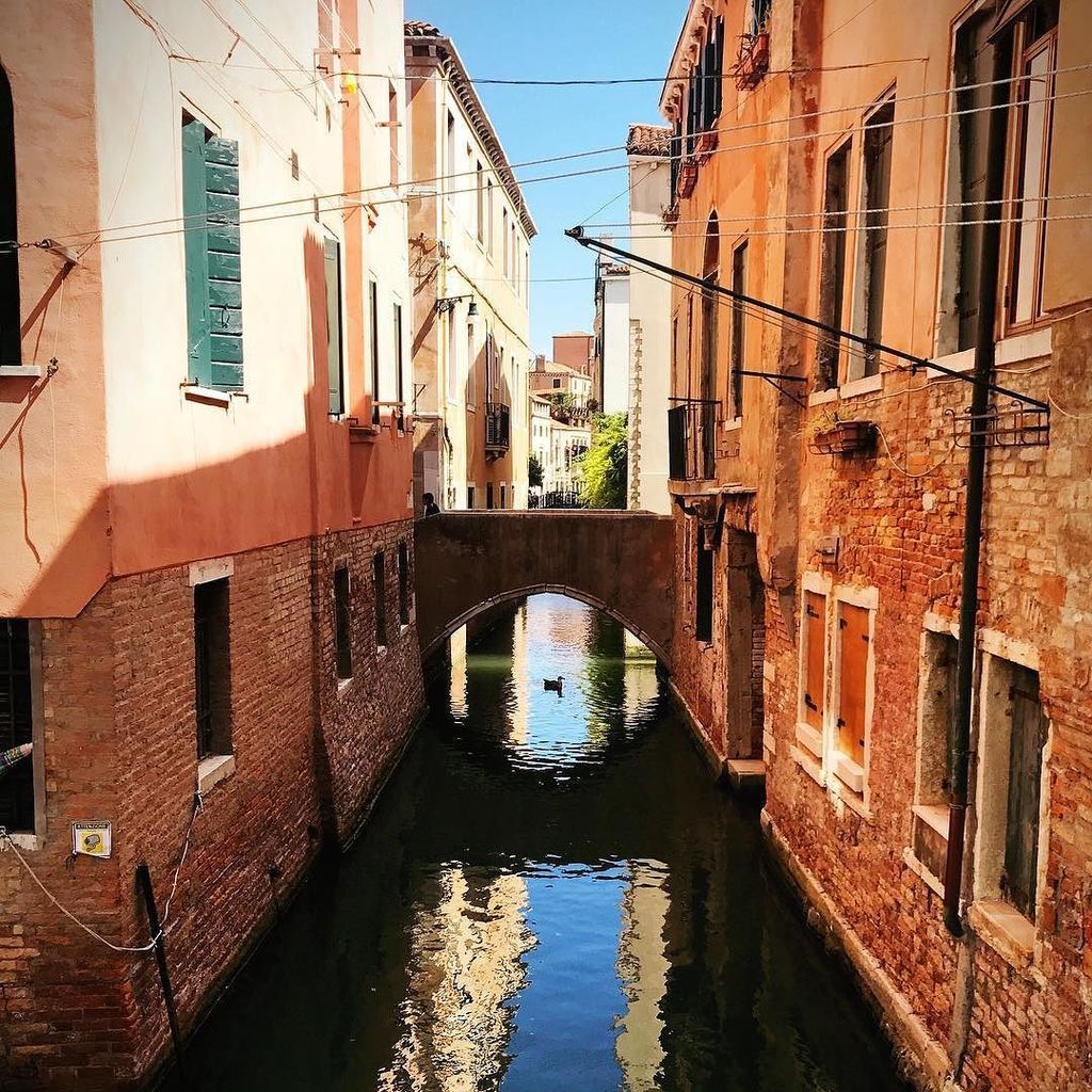 I'm entire world away (with my mom and grandma in Venice) but my heart is broken for my dear Charlottesville. The … ift.tt/2uHdp4h