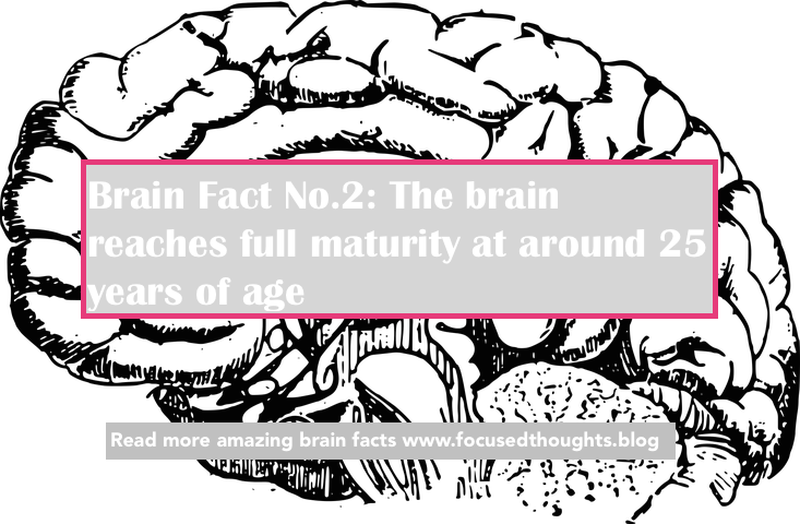FocusedThoughts tweet picture