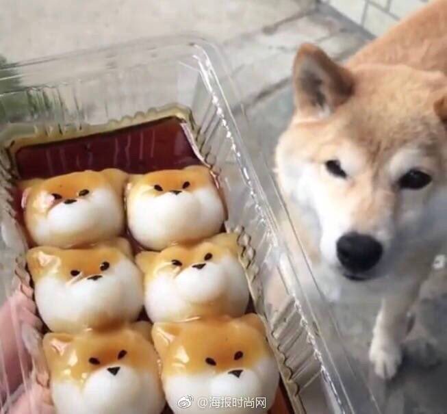 みたら柴 これは食べられない!! - Togetter