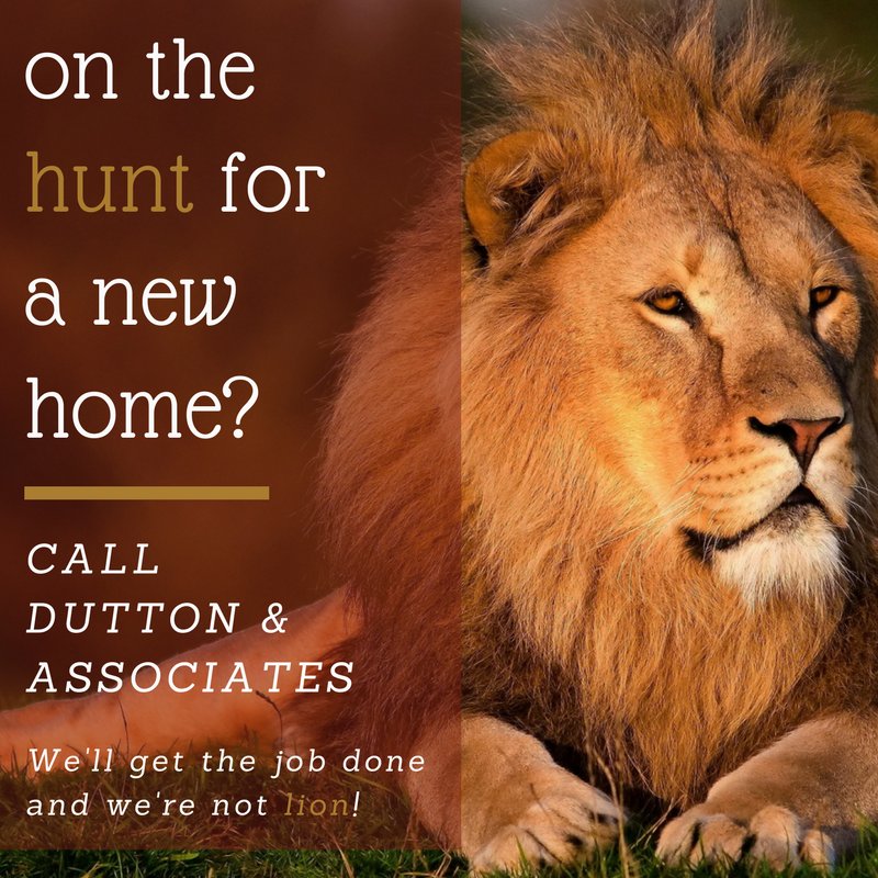 DuttonAssoc's tweet image. 