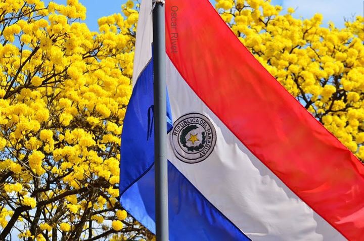 mabelvfb's tweet photo. ♪ 🎶🎶Que linda es mi bandera paraguaya, a su sombra generosa sueño la felicidad ♪🎶🎶
¡Salud, #BanderaPy 🇵🇾️! https://t.co/6AnqUrRfdj