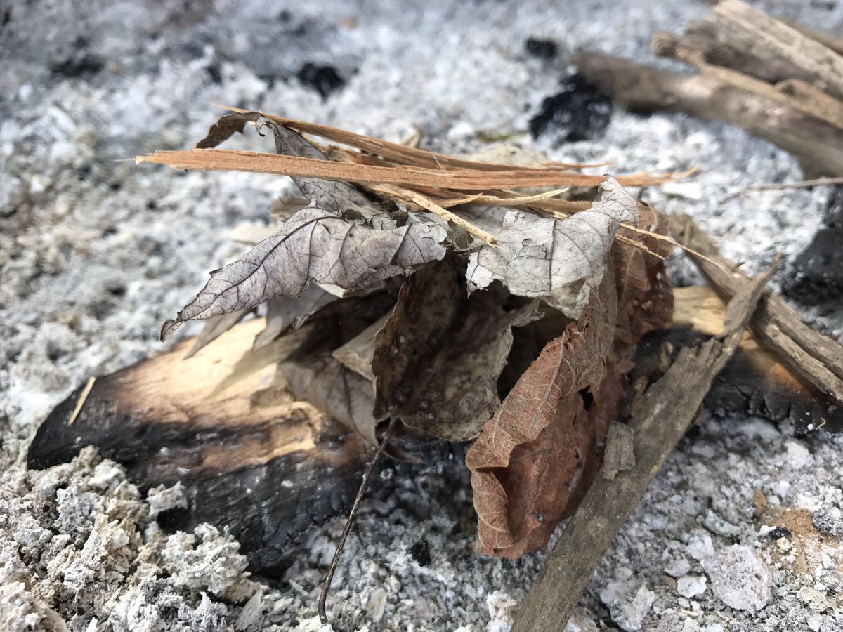 jkubicki's tweet photo. Finally began #2017resolution this weekend. A matchless fire. Just magnesium, flint and knife. Not hard but not easy. https://t.co/A6vjpO2Zpd
