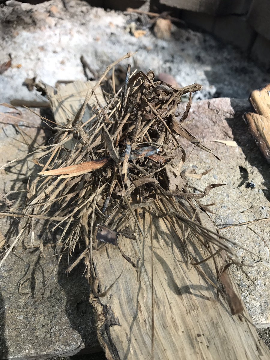 jkubicki's tweet photo. Finally began #2017resolution this weekend. A matchless fire. Just magnesium, flint and knife. Not hard but not easy. https://t.co/A6vjpO2Zpd
