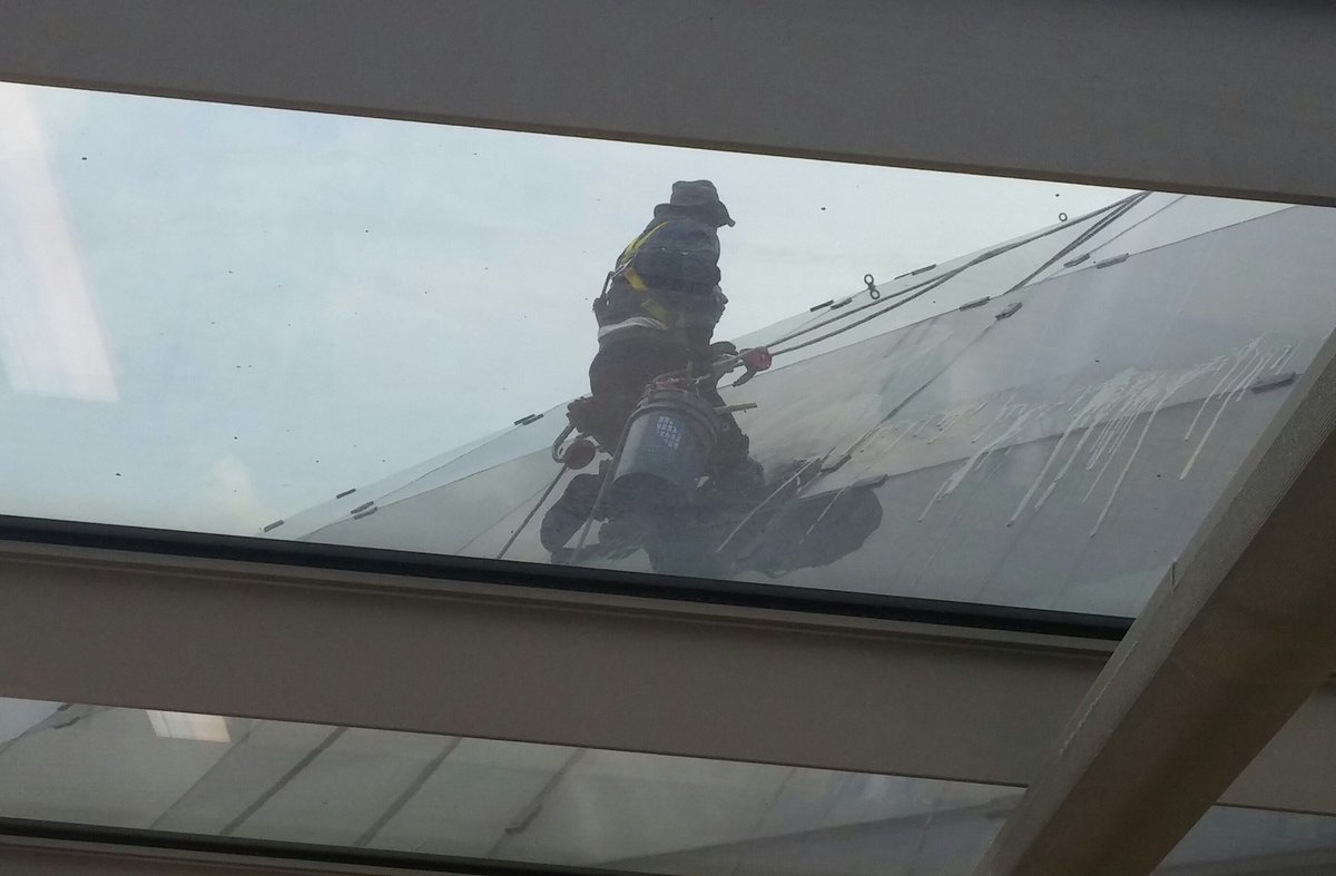 strekoza333's tweet photo. Extreme window cleaning! #MansuetoLibrary https://t.co/sYWAgK9fJ1