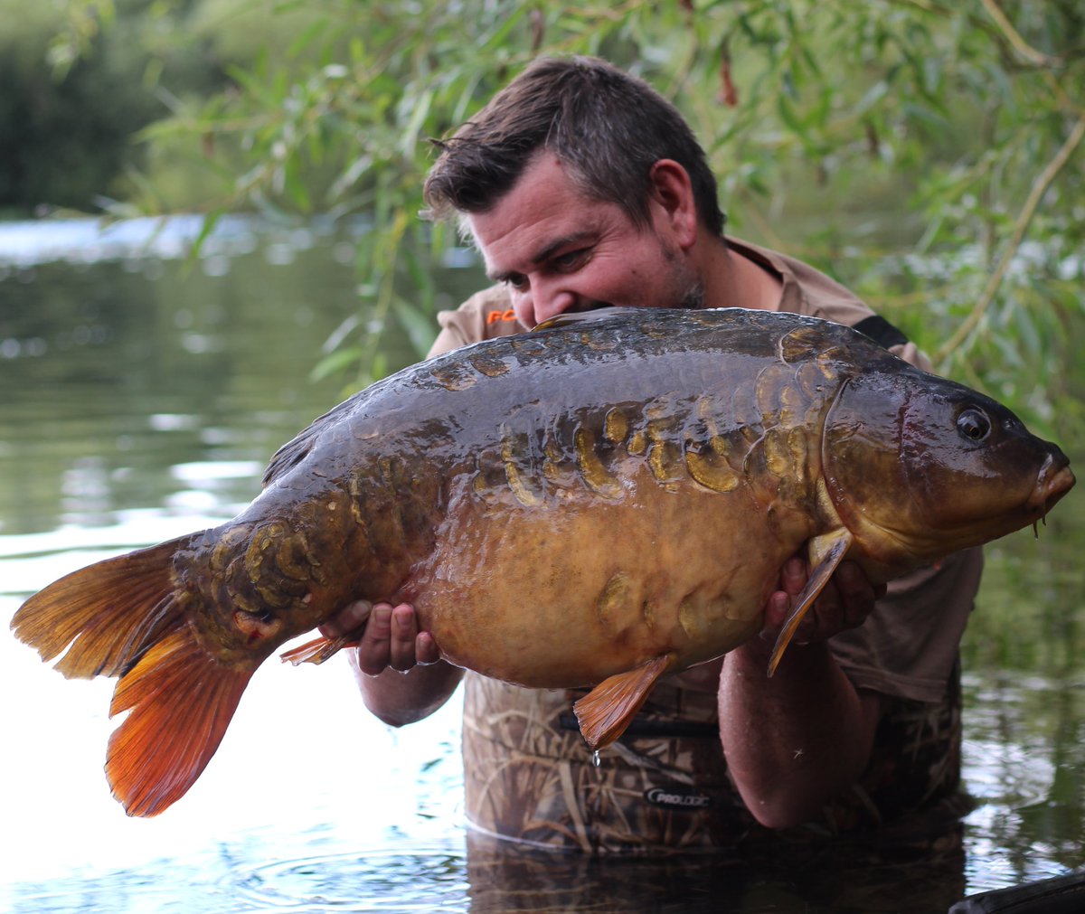 _andy_gilbert's tweet image. Awesome 25.12lbs mirror from elsons at stanwick fisheries