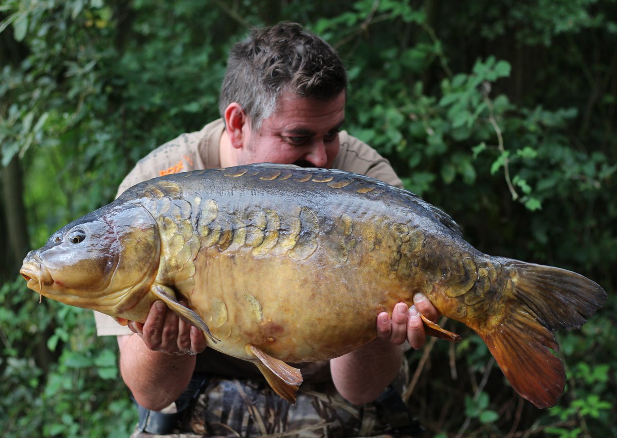 _andy_gilbert's tweet image. Reverse side of the 25.12lb