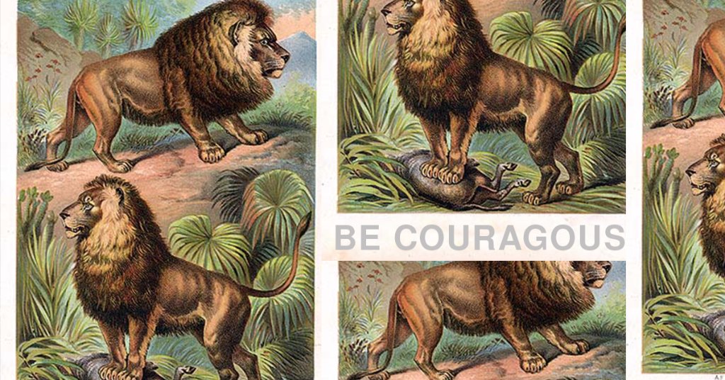 StanfordGSB's tweet photo. "You need to have the courage and the persistence to get back out there, learn from your mistakes, and try again." https://t.co/EZtgQlHfrl https://t.co/554nB6KsI4