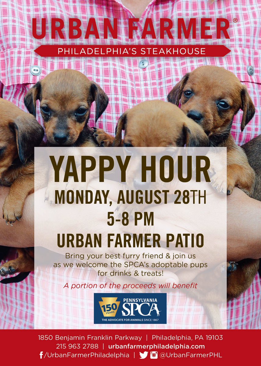 UrbanFarmerPHL's tweet image. Join us for the cutest happy hour you've ever been invited to - #yappyhour! Drinks &amp;amp; puppies? Yes please. #drinkphilly #pspca #adoptdontshop