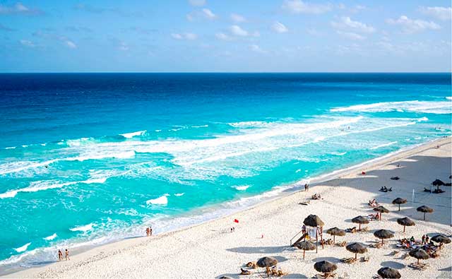 descubrelo tweet media