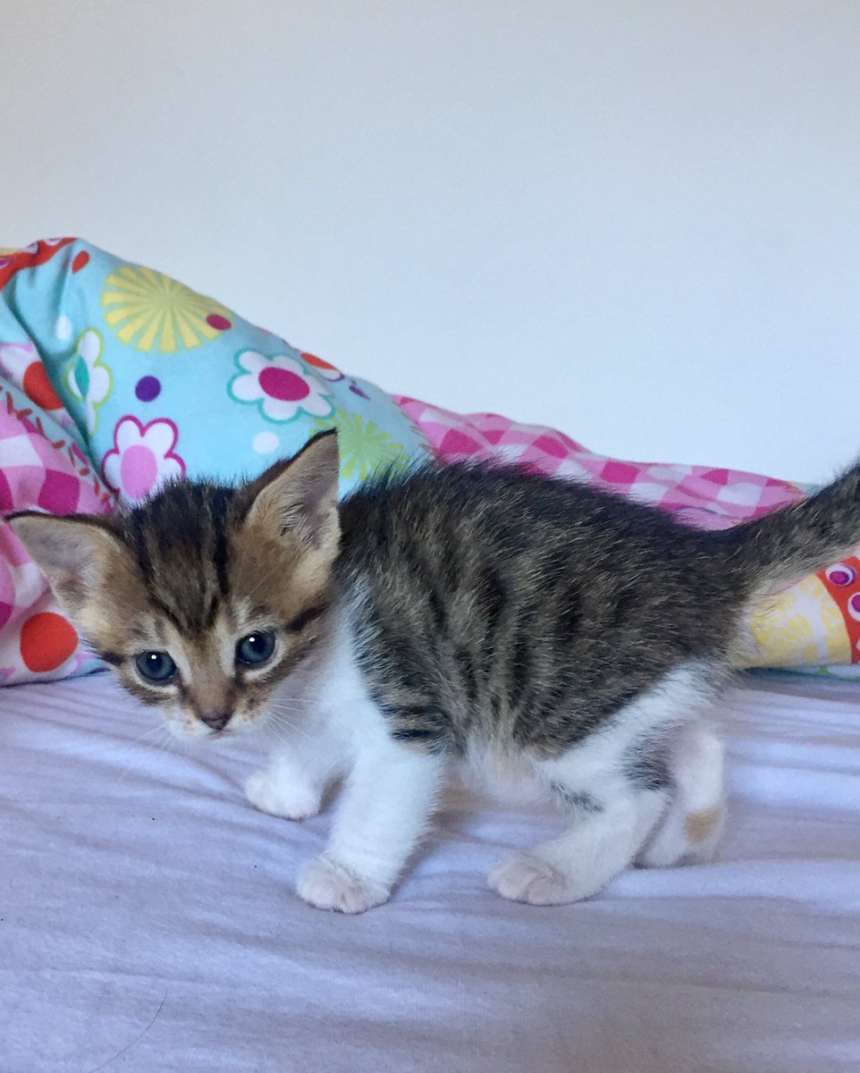 😍😍😍Sama uha so jo ❤️ Ideje za ime?