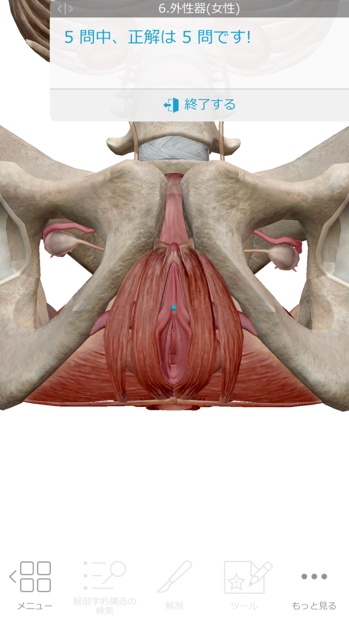 八戸太郎 外性器 女性 クイズ 全問正解 ヒューマンアナトミーアトラス T Co Bqefetqtff Twitter