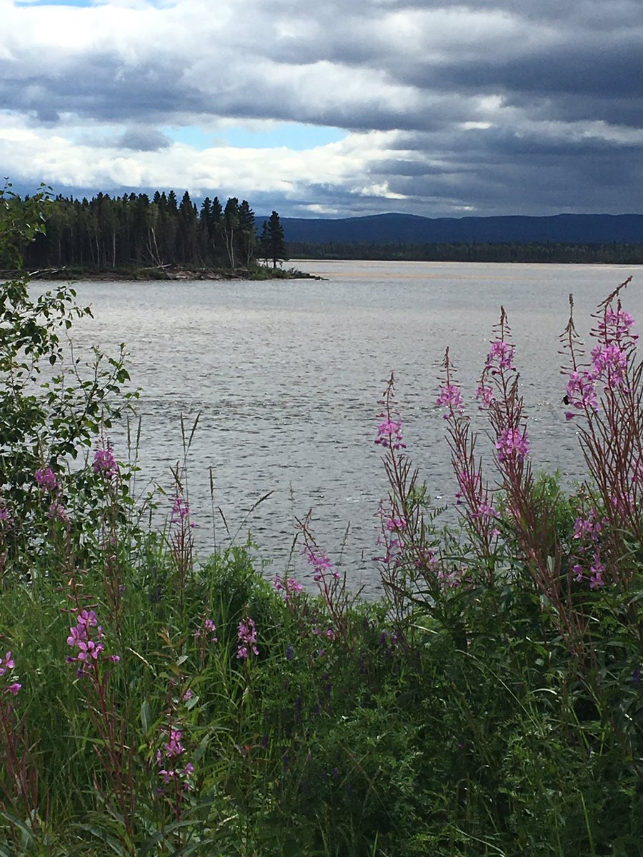 hoodlumknit's tweet photo. #shutmuskratdown #freejimlearning https://t.co/zkgti0oK17