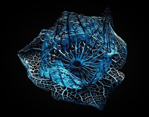 ArtElectronicsF's tweet photo. Дирекция образовательных программ Москвы приглашает на курс «Art &amp; Science: синтез искусства и науки в XXI веке». https://t.co/LhlCZmHlhk https://t.co/sw2i6mbOCX
