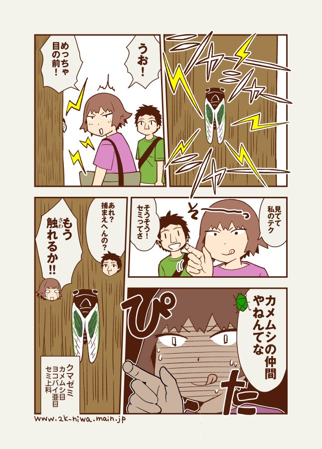 夏の風物詩の真実 