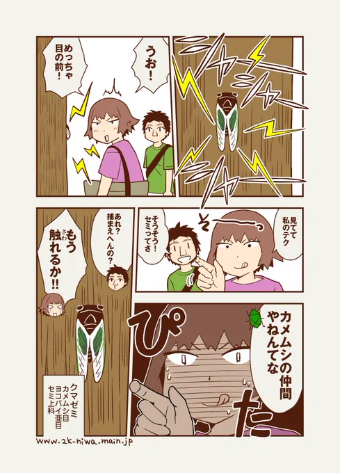 夏の風物詩の真実 