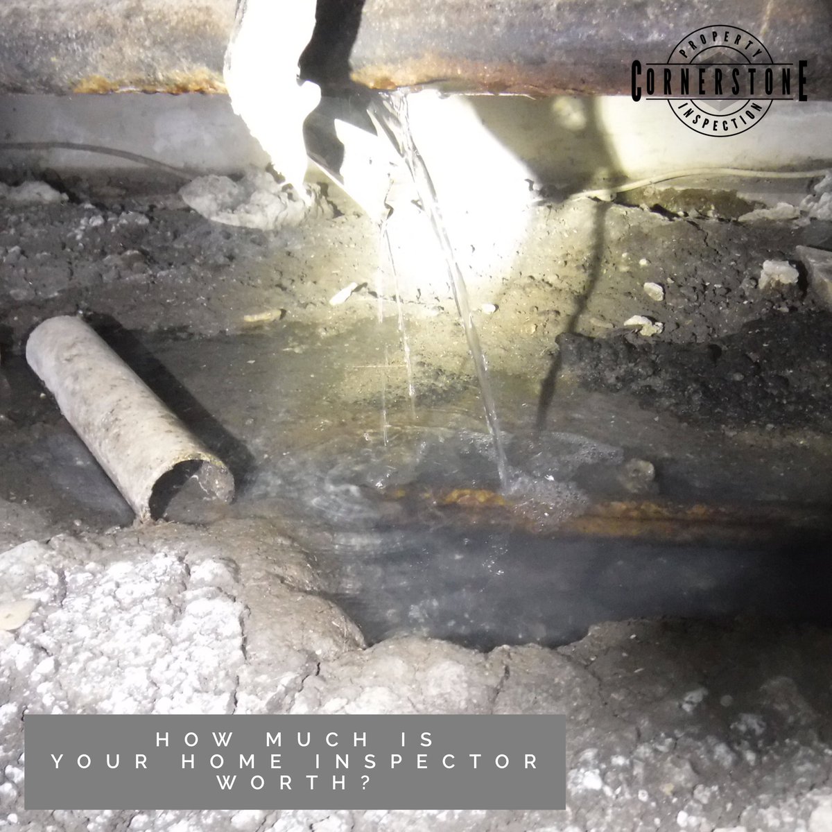 Inspector_Dion's tweet photo. #iheartmyhomeinspector  #inspectordion #dfwrealestate #fixitright #leak #pierandbeam #crawlspace #water #pipes #pipe #plumbing #realtorlife https://t.co/5kH9D0uEyd