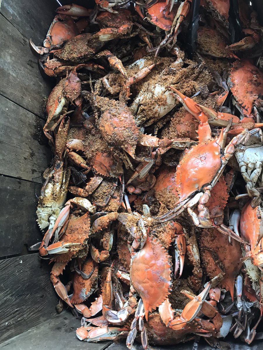 3rd annual crab and shrimp feast. Hagerstown 2567. <a href="/jacob_kahan/">Jacob Kahan</a> <a href="/TonyMazzola1/">Tony Mazzola</a> <a href="/TinaBennett07/">Tina Bennett</a> <a href="/Hall__Jon_Hall/">Jon Hall</a> <a href="/JohnRolison/">John Rolison</a>