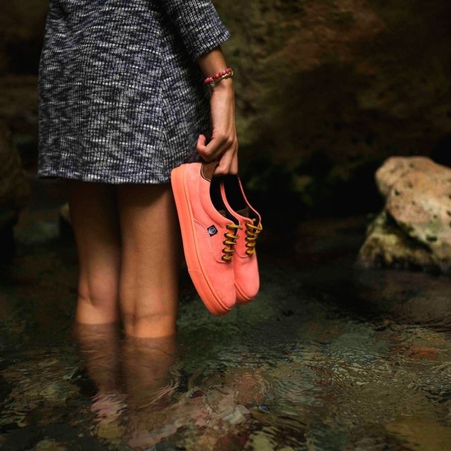 Soon 🚀
#flamingoslife #Govegan #eco