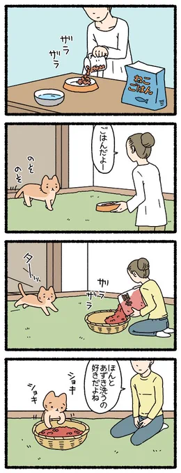 ねこようかい　あずきあらい２　#ねこようかい　 #四コマ 