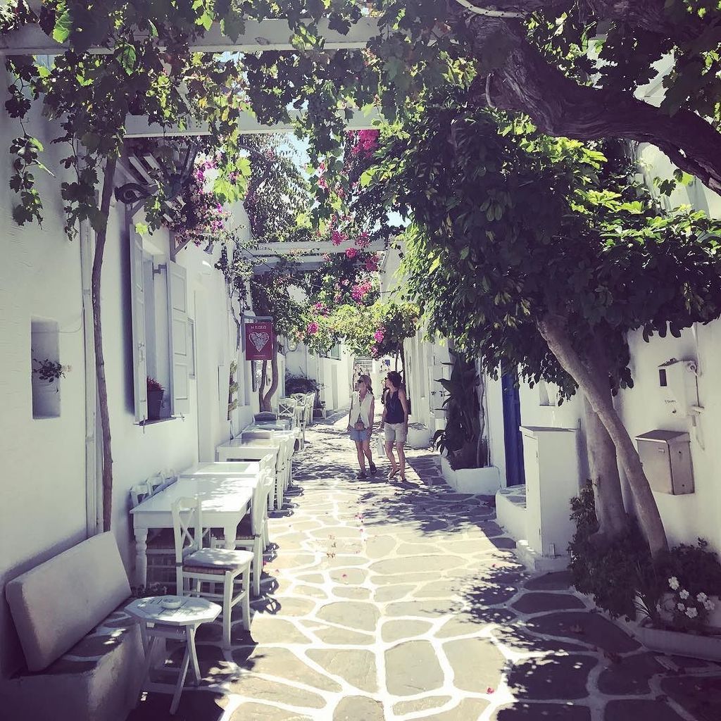 mfomin's tweet photo. Paros island streets are charming! https://t.co/6bfugk64dZ https://t.co/iGhzNpQk20