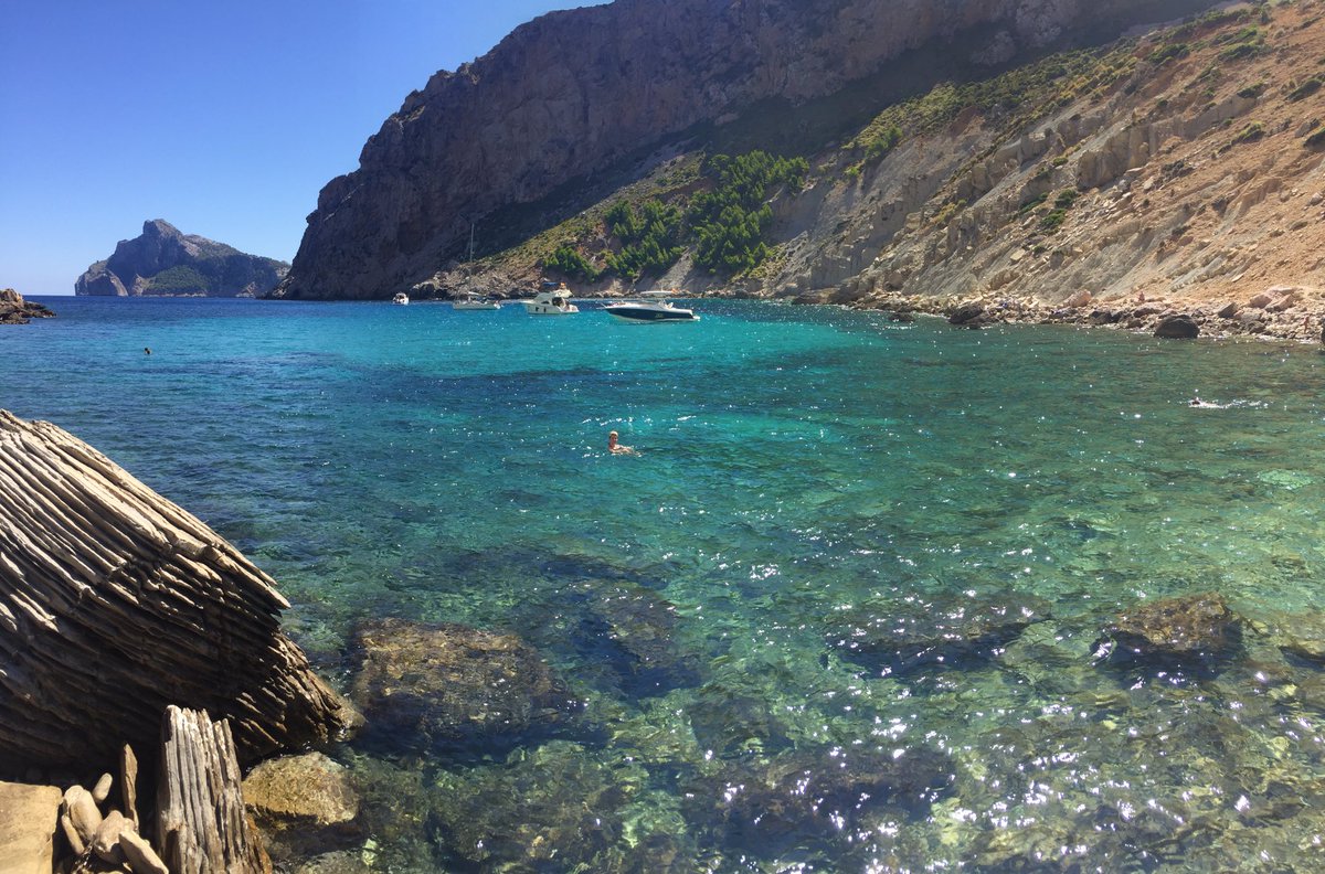 stephenblevins9's tweet photo. When your morning hike and swim in paradise is gatecrashed by a few of the locals 🐐 #CalaBoquer #Majorca https://t.co/7vw5p95PsO