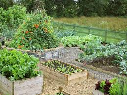PendletonNW's tweet photo. Today marks the beginning of #NationalAllotmentWeek. Sometimes, #sustainability starts small &amp; we can all play a part. https://t.co/aGGHloIhOC