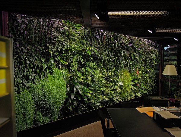 Les #mursvégétaux se déploient sur tous les toits du monde, mais ils existent aussi en version intérieure! #vegewall po.st/oS0B3o