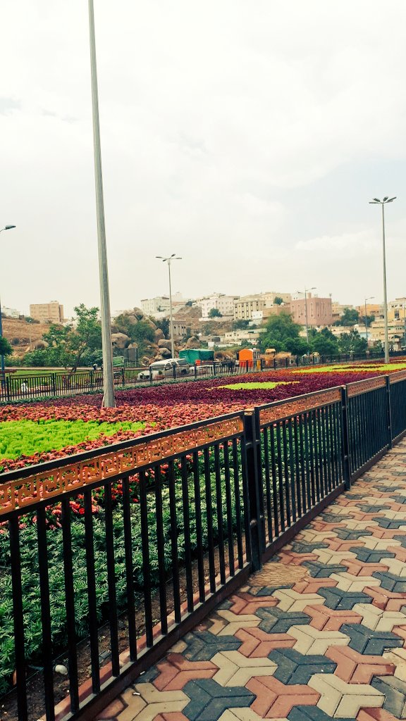 trx2t's tweet photo. #تصويري من #شارع_الفن بأبها 💜 https://t.co/PH08m90m2O