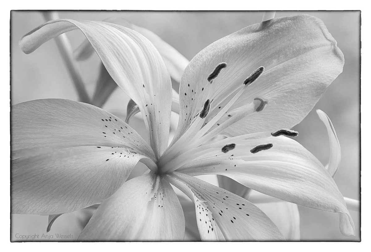 hrnnnnnnnnnn (@gamzeharuneymen) on Twitter photo 