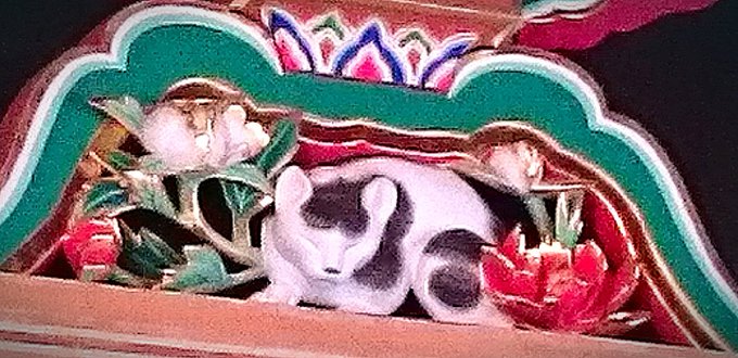 眠り猫のtwitterイラスト検索結果