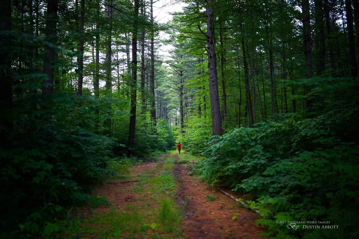 hrnnnnnnnnnn (@gamzeharuneymen) on Twitter photo 